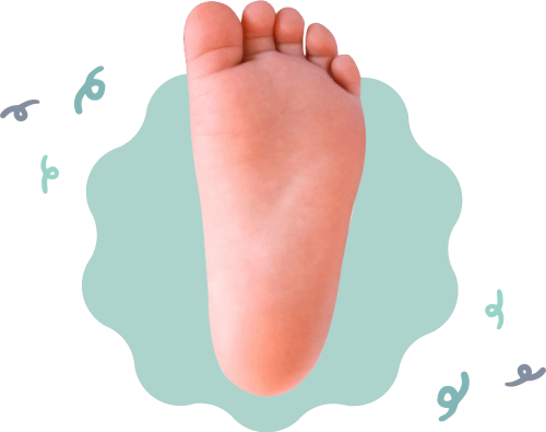 resortes-2---calzado-respetuoso